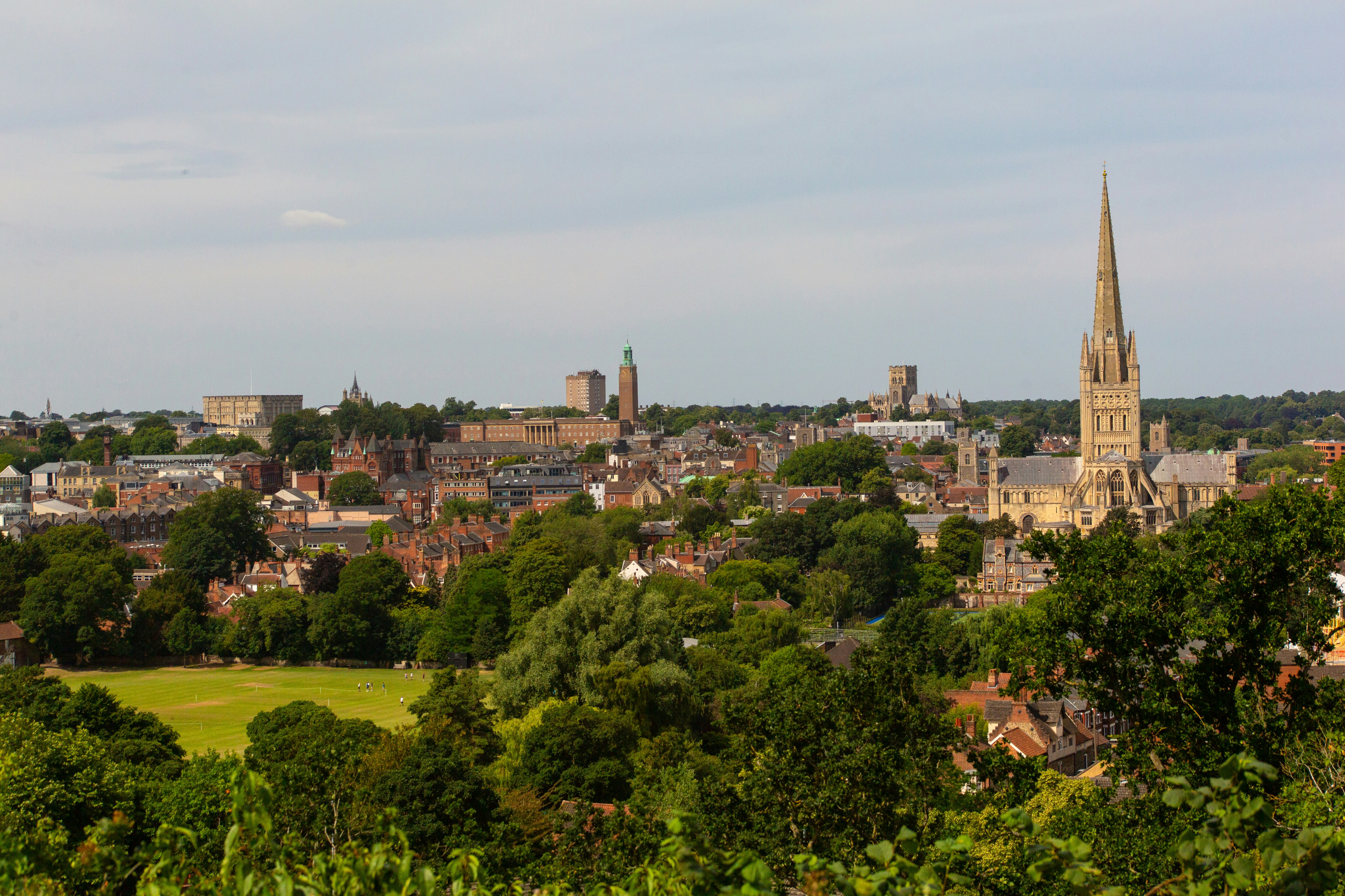 Software development services in Norfolk