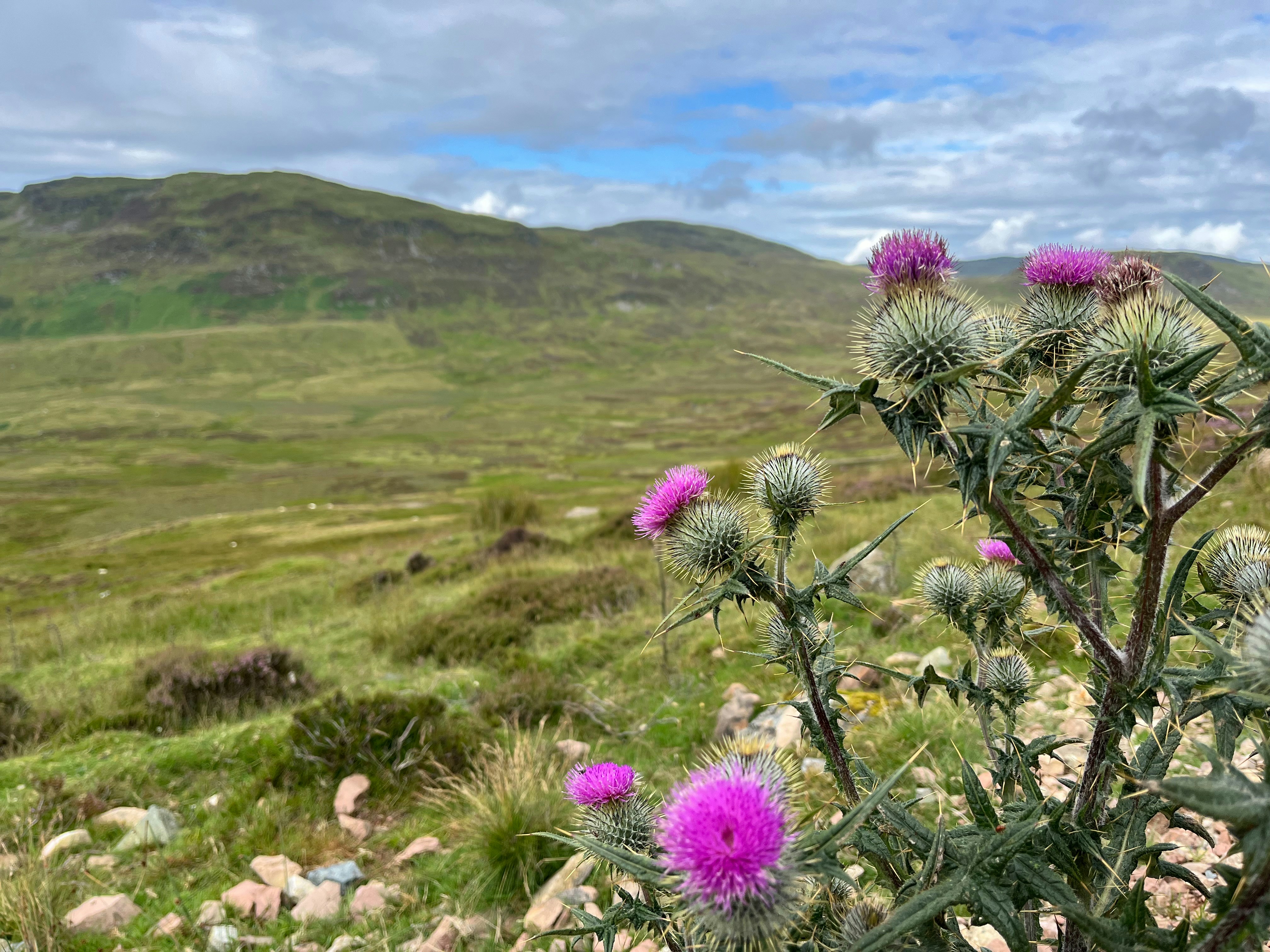 Software development services in Perth