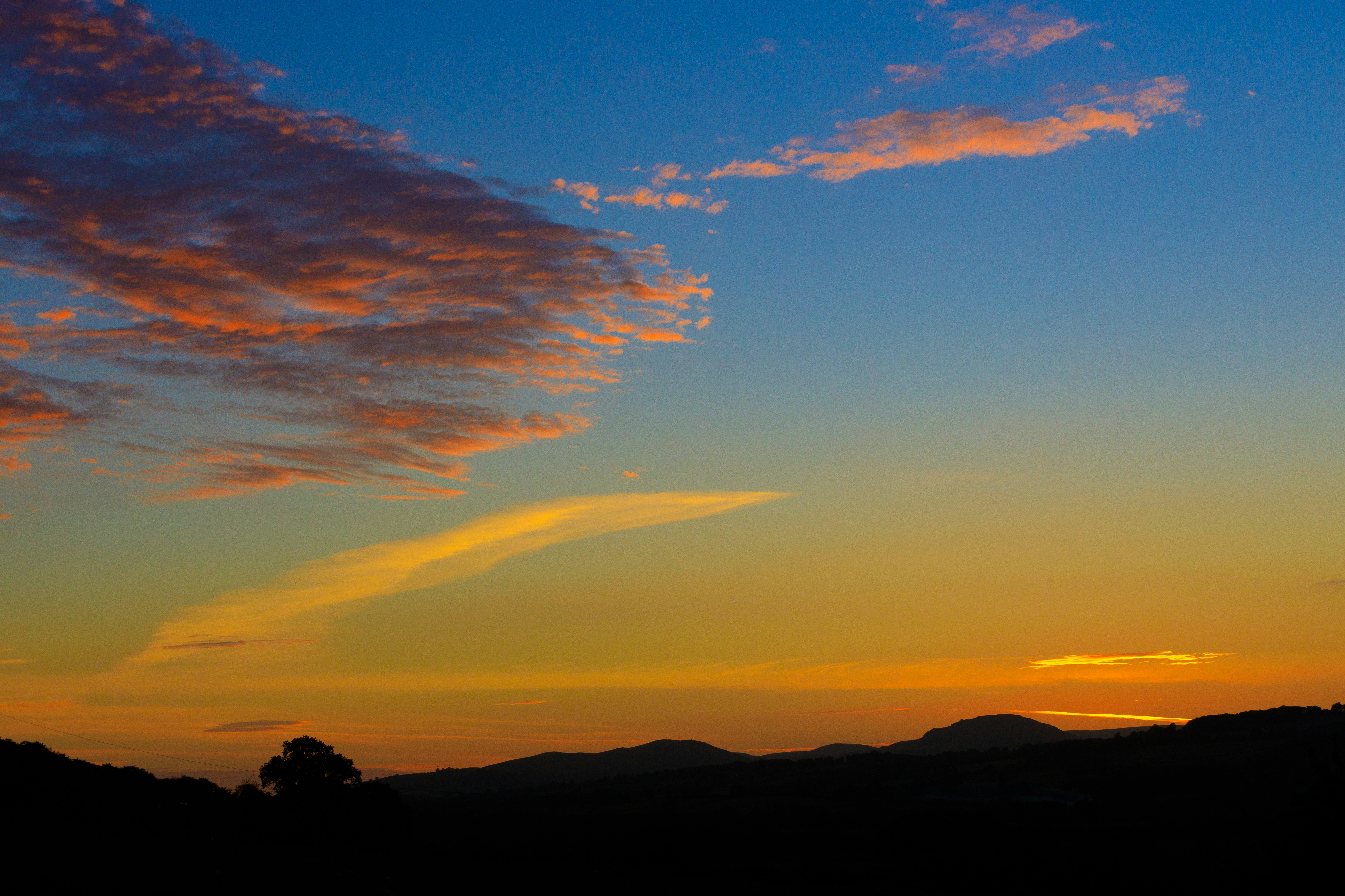 Software development services in Shrewsbury